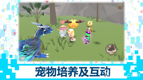 龙之气息