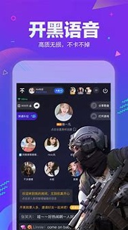tt语音