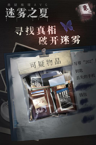 迷雾之夏_截图1