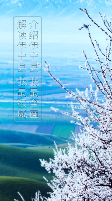 杏乡好地方