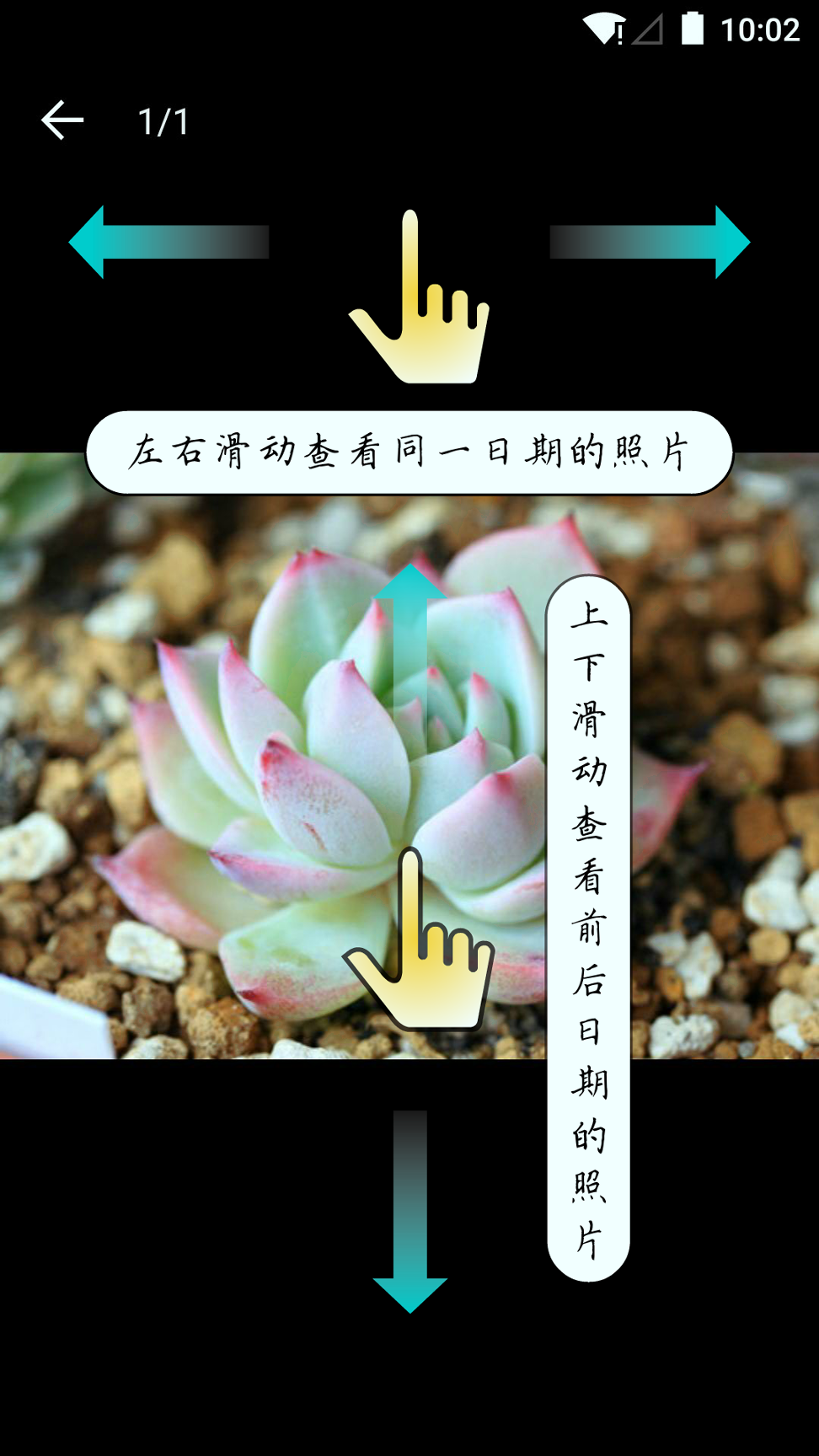 多肉成长记_截图4