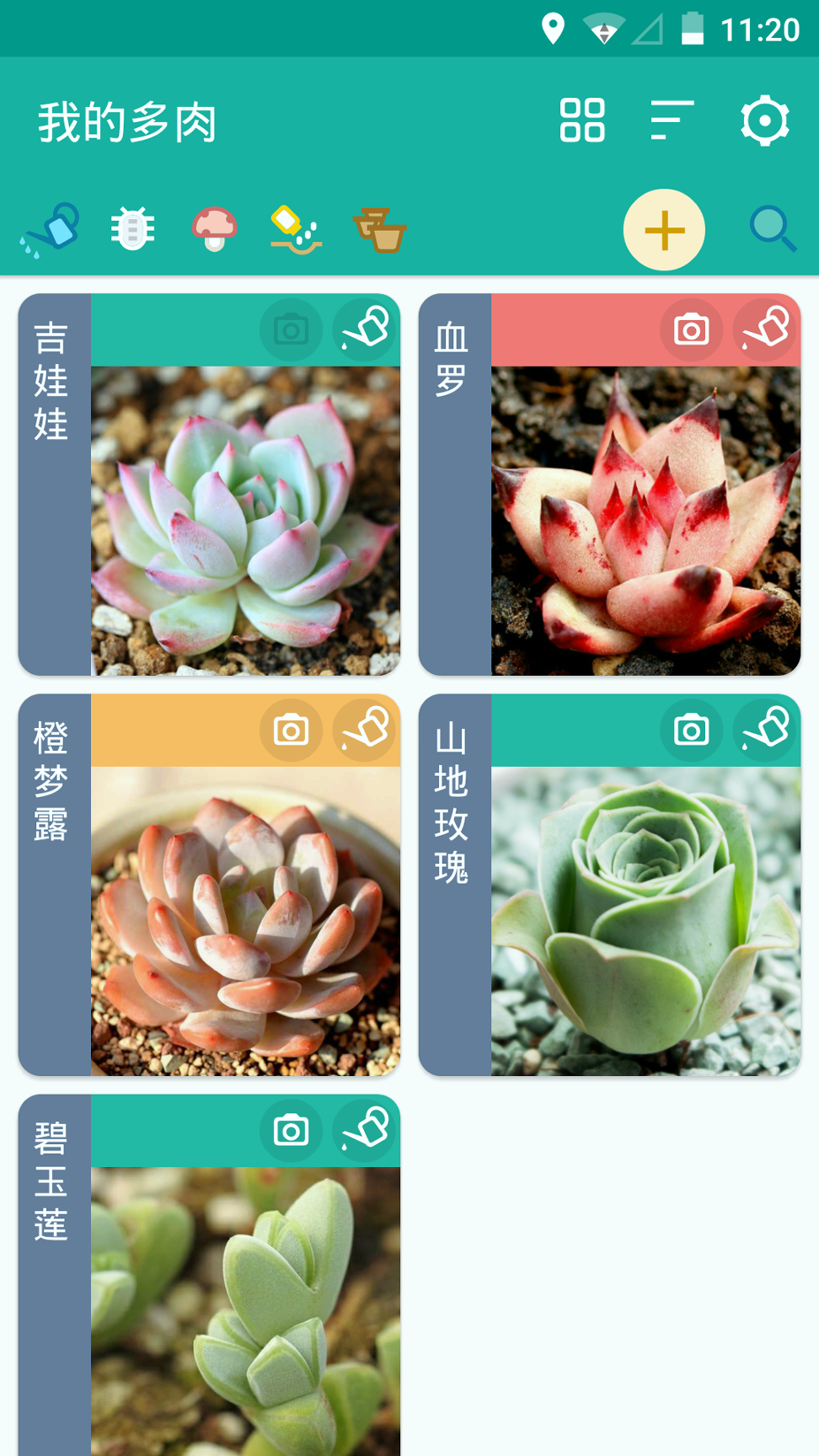 多肉成长记_截图1