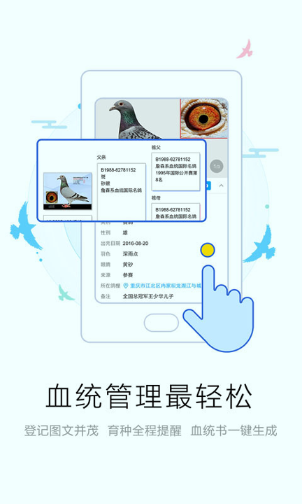 爱鸽者