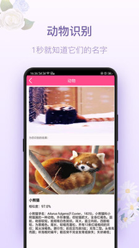 拍照识花神器_截图2