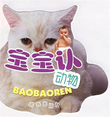 宝宝认图