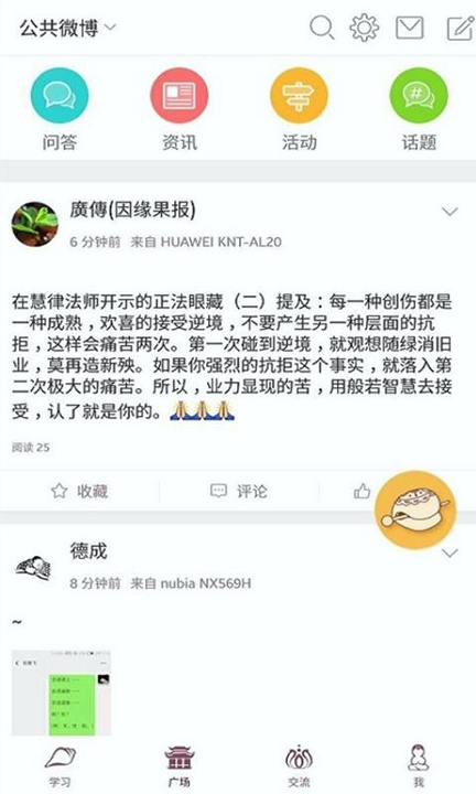 网路龙树