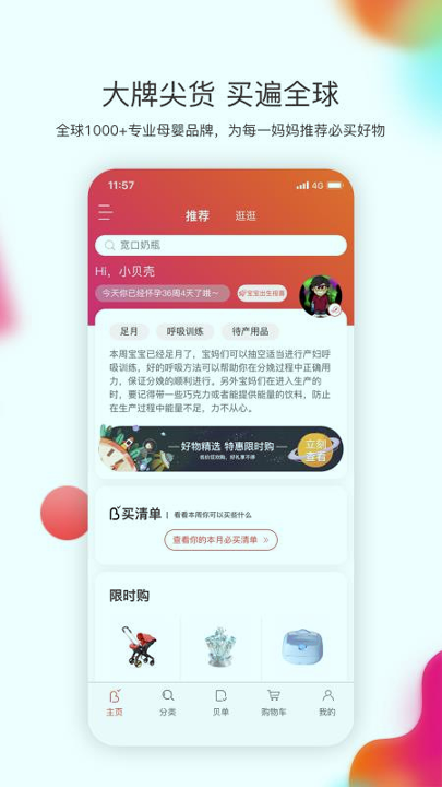 贝单