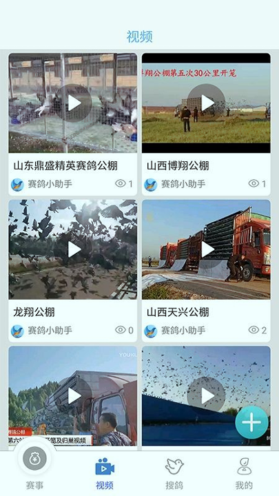 赛鸽助手