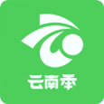 云南季