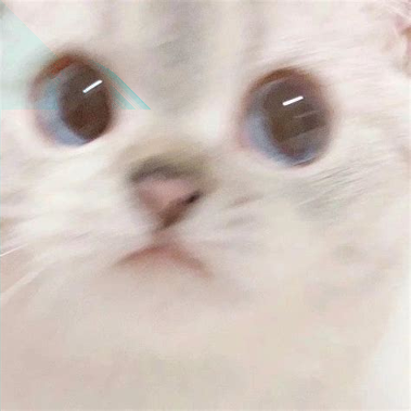 易来