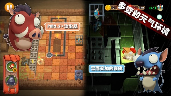 呆鸡点点点