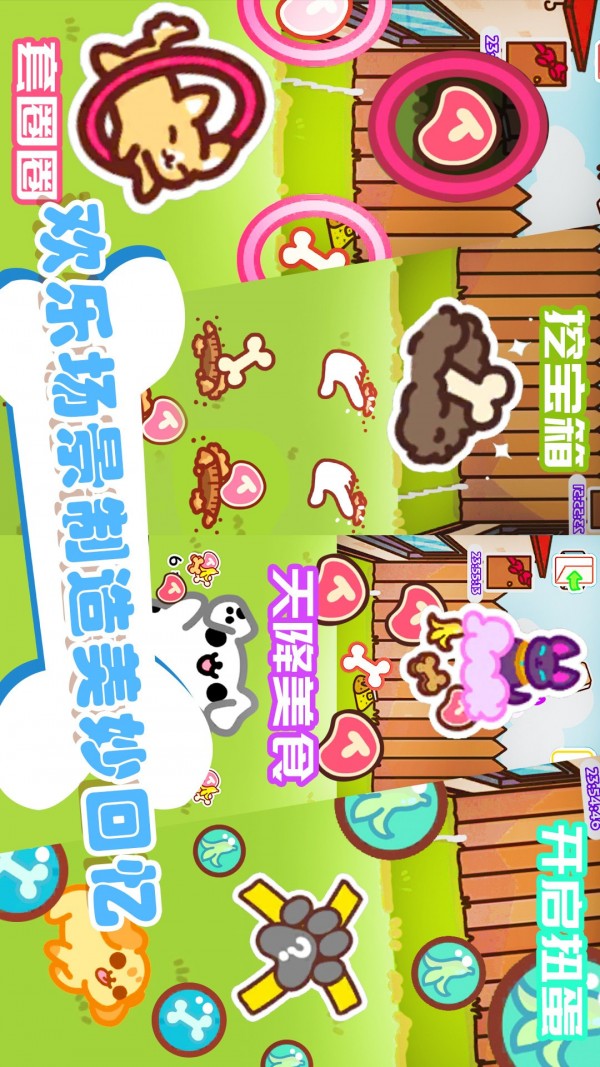 爱宠之家