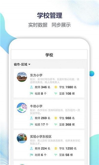 觅豆