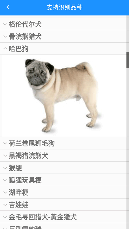万能拍照识别