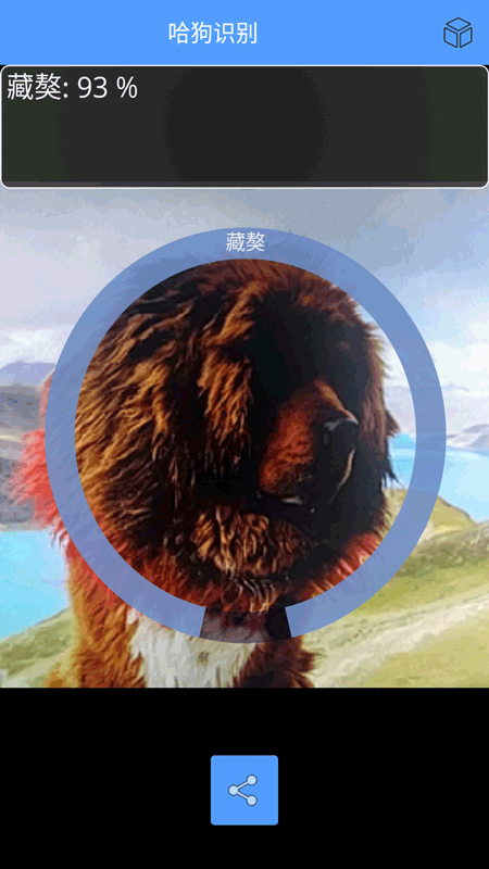 万能拍照识别