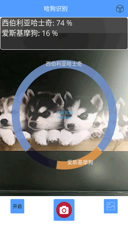 万能拍照识别
