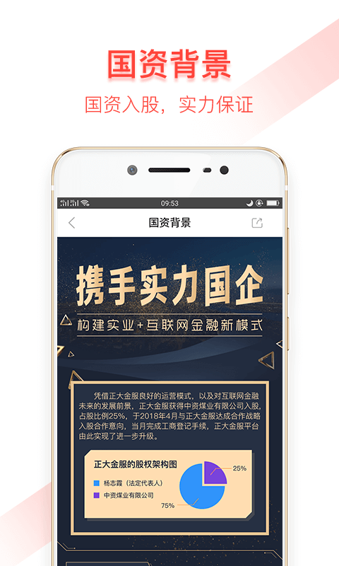 正大金服