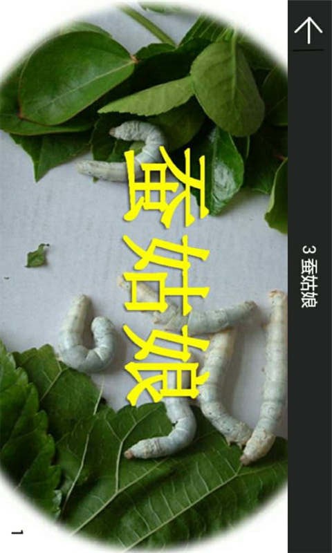 二年级下册语文课堂
