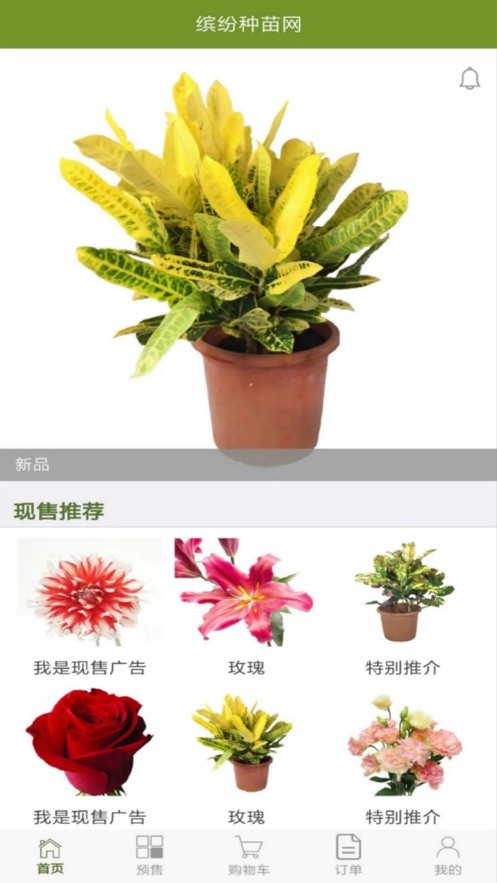 缤纷种苗