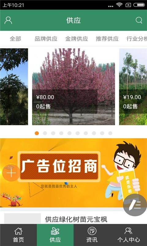 河北苗木基地