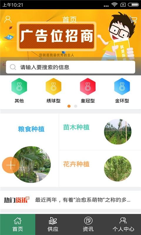 河北苗木基地