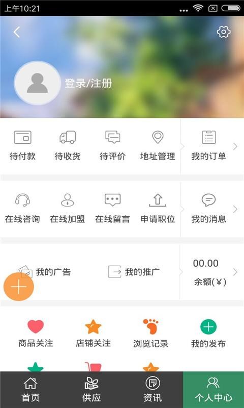 河北苗木基地