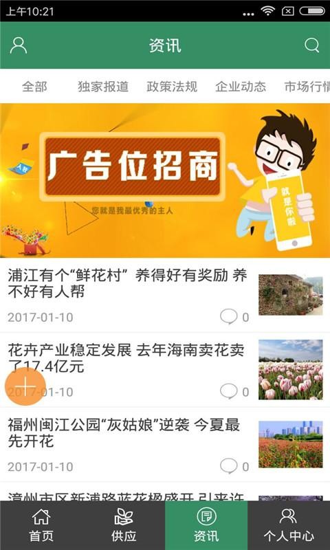 河北苗木基地