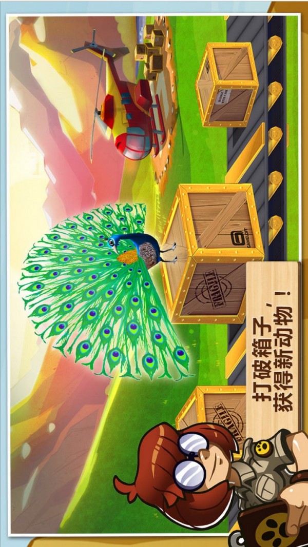 奇妙动物园