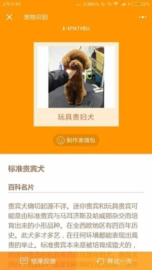 宠物识别