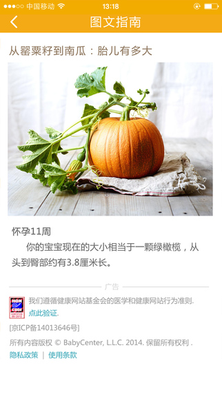 指南