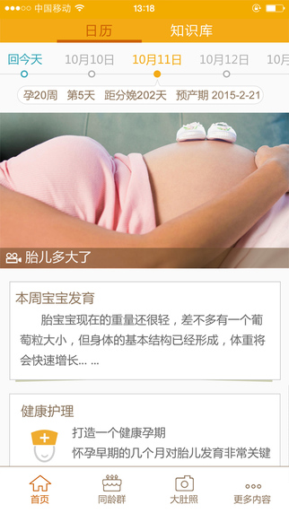 指南