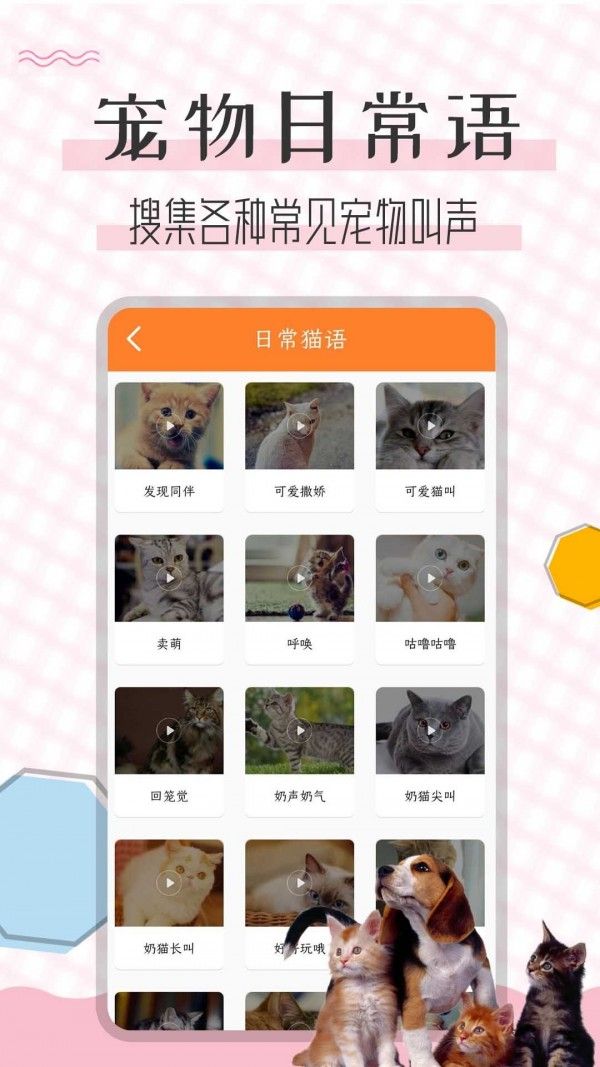 猫语翻译_截图3