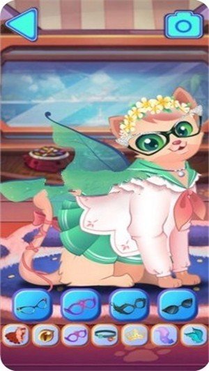 化妆女王猫