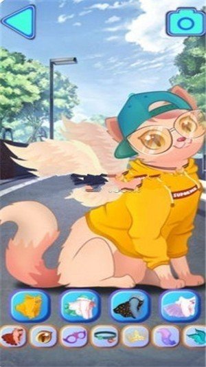化妆女王猫