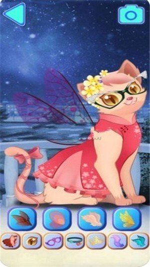 化妆女王猫