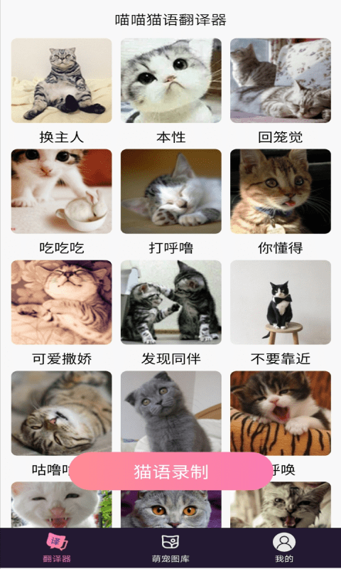 猫语翻译器
