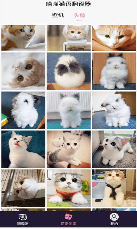猫语翻译器