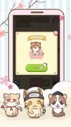 开心猫猫乐