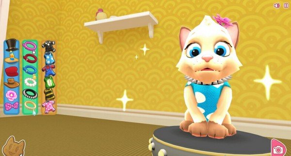 吉蒂猫