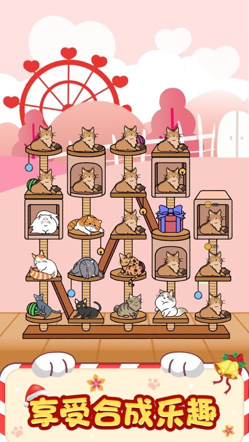 萌猫养成记