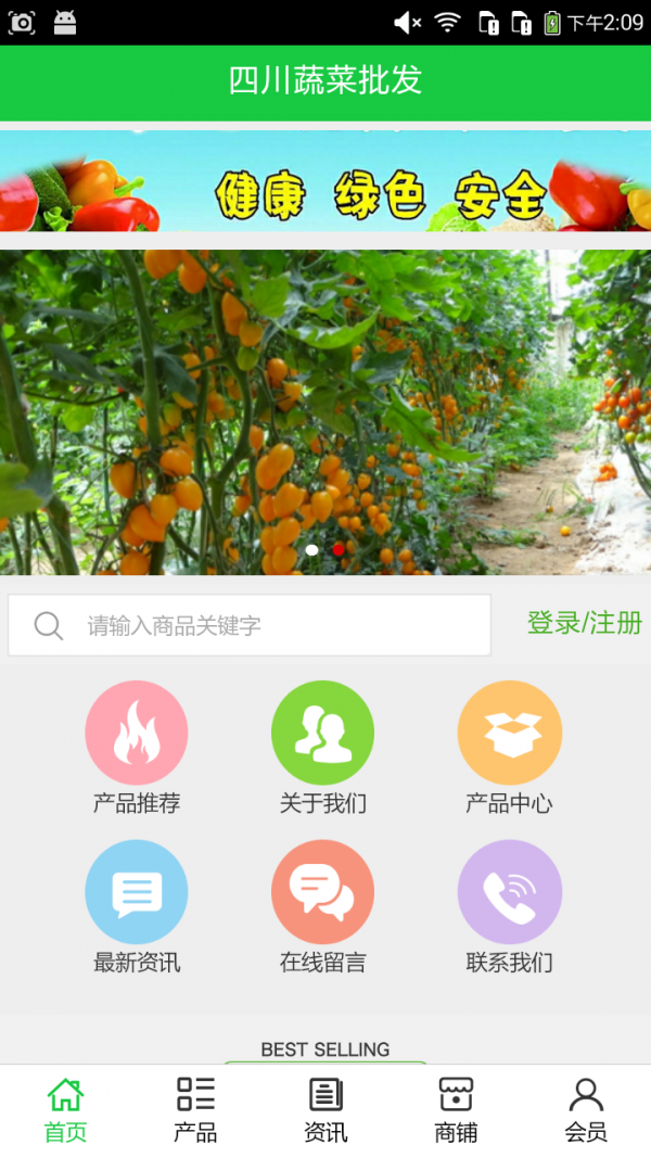 四川蔬菜批发