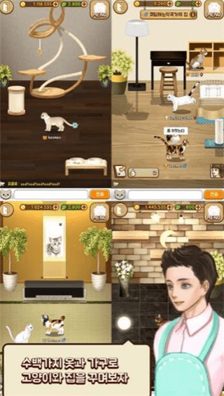 小猫世界_截图3