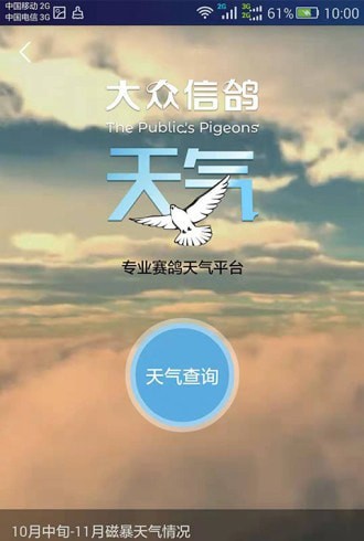 信鸽