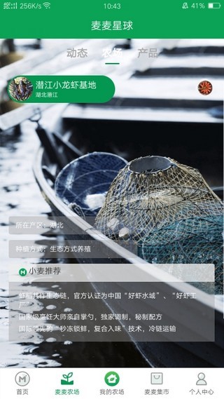 麦麦星球_截图4