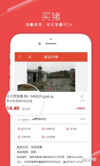 国家生猪市场