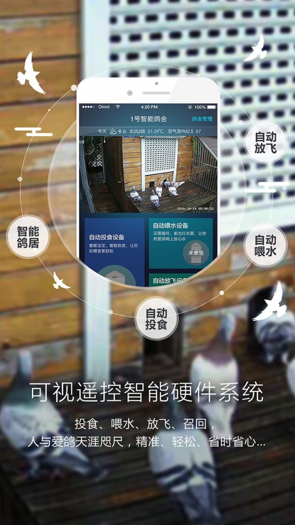 爱鸽者_截图4