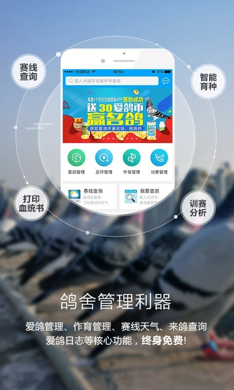 爱鸽者_截图3