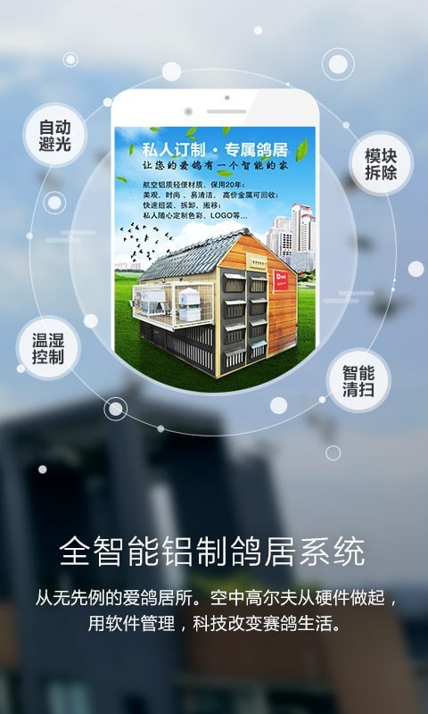 爱鸽者_截图1