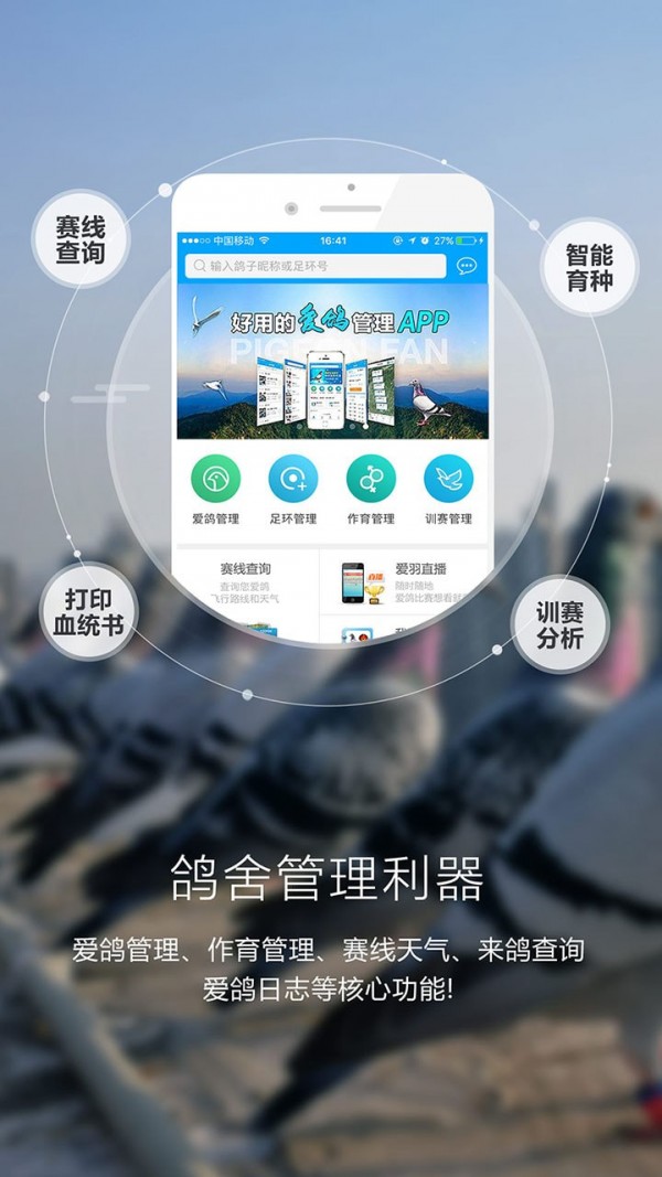爱鸽者_截图2
