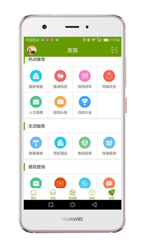 游鸽网_截图3